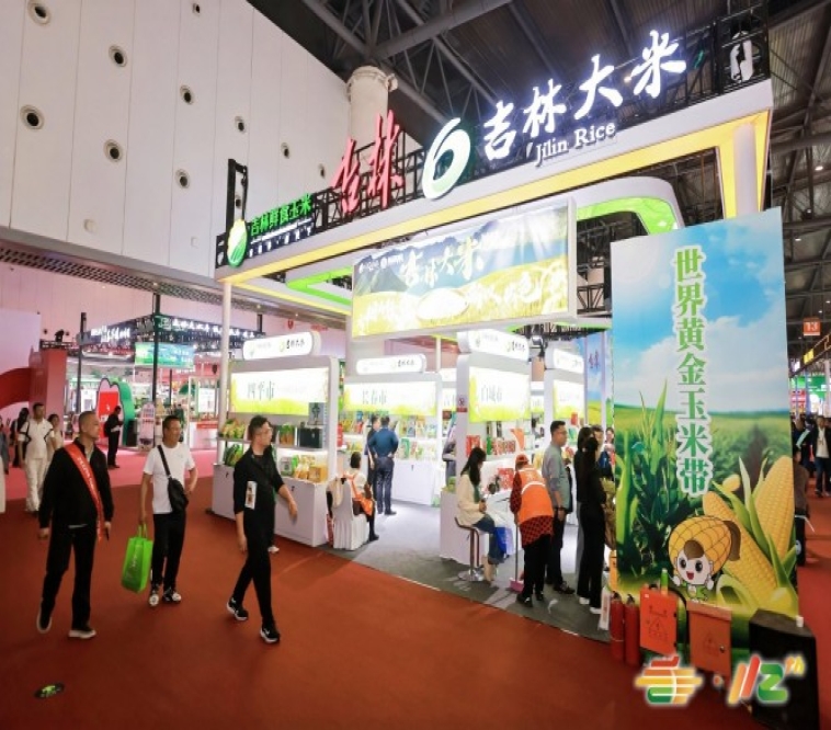 新闻资讯